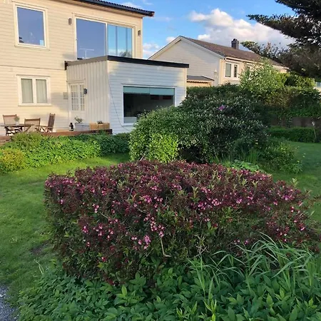 Apartament Lys Og Trivelig I *